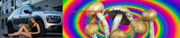 таблы Алексин