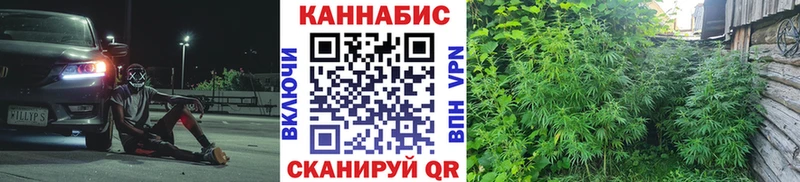 сайты даркнета какой сайт  Калтан  Канабис индика 